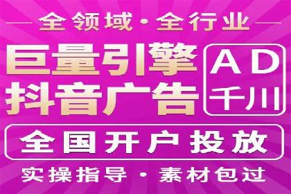 解析某某SEM服务公司的广告投放策略与效果评估